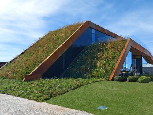 Pitched green roof